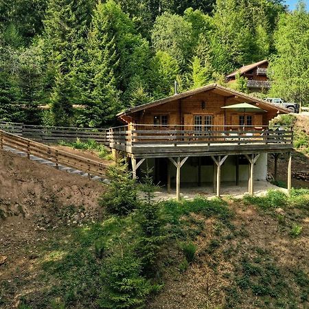 Le Refuge De Belbriette, Chalet Au Coeur De La Nature Avec Spa Xonrupt-Longemer Exterior foto