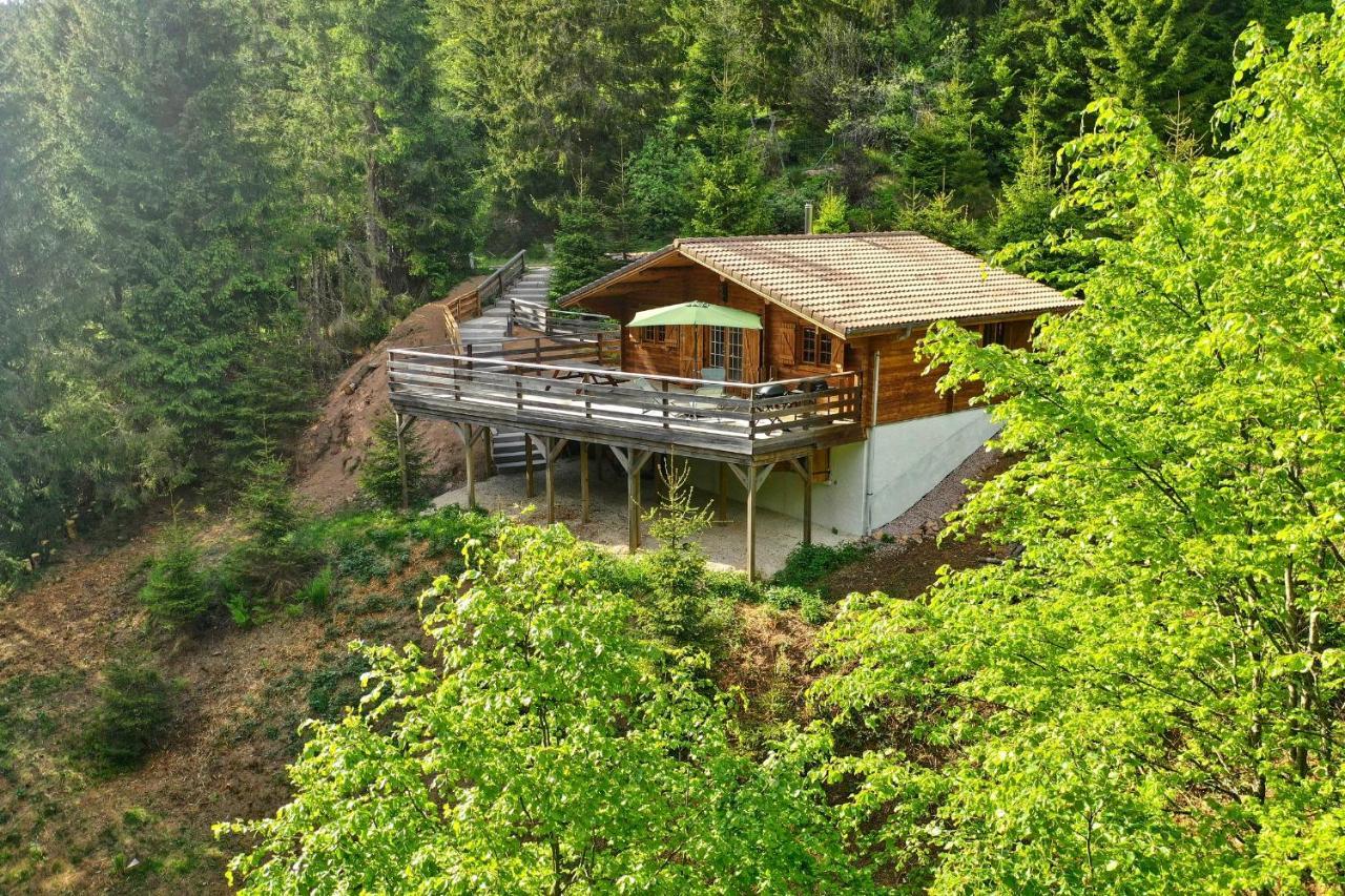 Le Refuge De Belbriette, Chalet Au Coeur De La Nature Avec Spa Xonrupt-Longemer Exterior foto