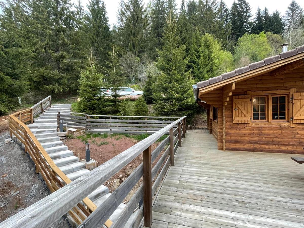 Le Refuge De Belbriette, Chalet Au Coeur De La Nature Avec Spa Xonrupt-Longemer Exterior foto